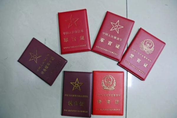 龙虎娱乐平台